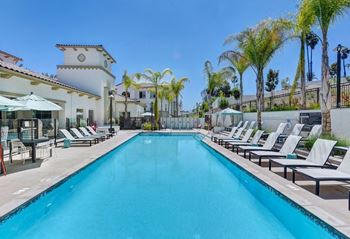 Sparkling pool 